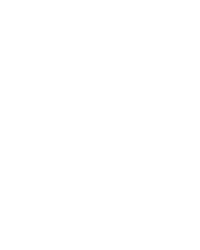 berixa.online-logo